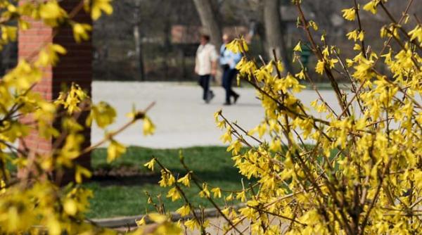 prognoza meteo pentru urmatoarele doua saptamani