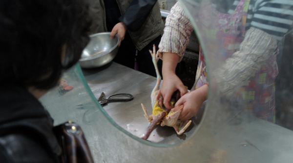 numarul persoanelor decedate din cauza noii gripe aviare a ajuns la opt