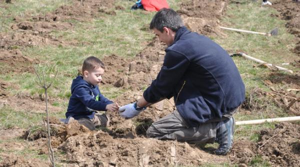 6000 de copacei plantati de voluntari in comuna valcele din covasna