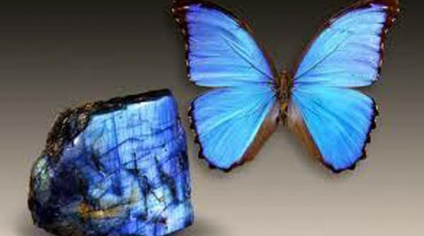 expozitii inedite de minerale la suceava si botosani