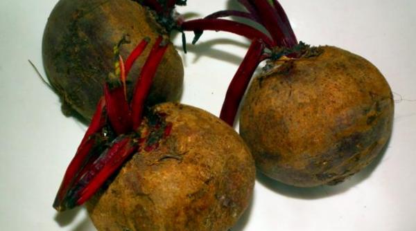 sucul din sfecla de zahar scade presiunea arteriala