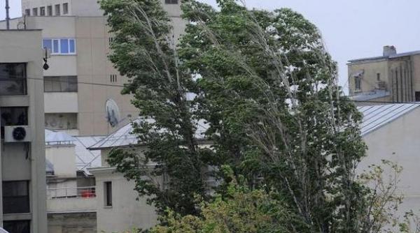 cod galben de vant puternic in noua judete