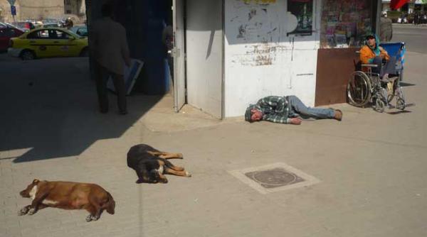 cazut pe datorie romanie profunda bea pe datorie si apoi se odihneste in strada laolalta cu cainii