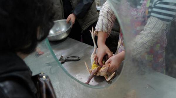 h7n9 un virus letal si tacut in 2 luni 22 de decese si 108 de persoane infectate