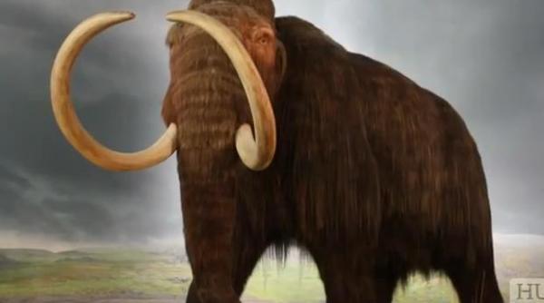 geneticienii vor sa cloneze mamutul tigrul tasmanian si pasarea dodo