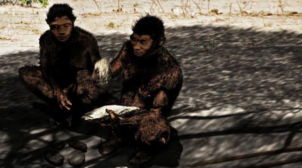 homo erectus vanatoare antilope creier