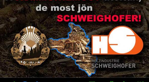 proteste in covasna si harghita mii de lumanari pentru padurile tinutului secuiesc