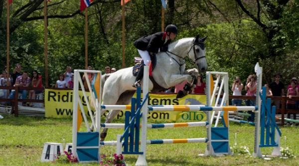 transylvania horse show