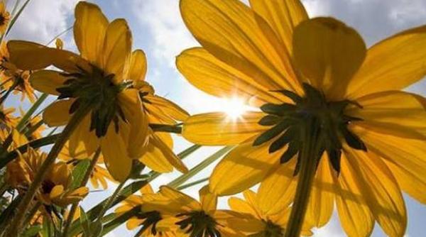 vreme frumoasa cu temperaturi ridicate vezi prognoza meteo pentru sfarsitul de saptamana