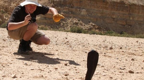 considerat un ratat de sistemul nostru de invatamant un roman a ajuns cercetator de elita in sua