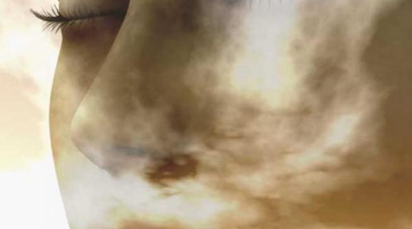 din anatomia intuitiva a viannei 2