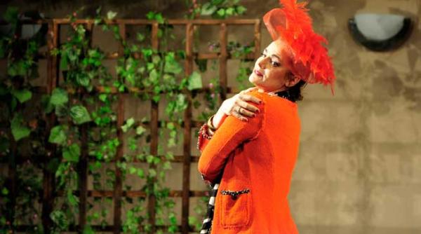 eleganta artistica in teatrul stefan iordache actori de prim rang onoreaza publicul prin arta scenica