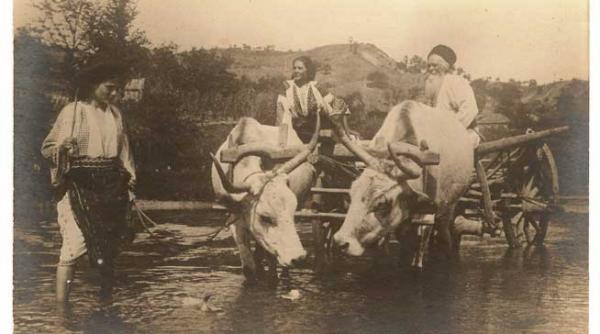 pastile blajinilor sau pastile mic