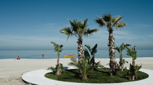 turism international venituri