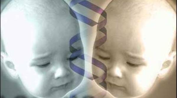 inca un pas spre clonarea umana oamenii de stiinta au extras in premiera celule stem din embrioni umani creati in laborator