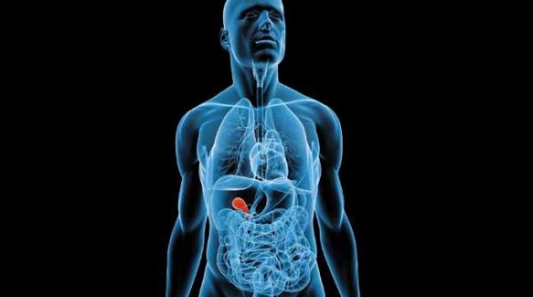 aventurile unei pietre la bila