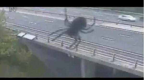 paianjen gigant blocat sosea anglia