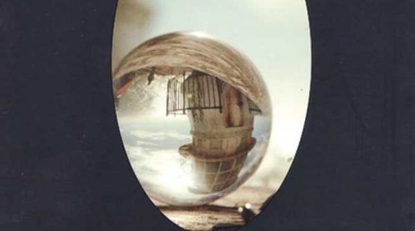 scena crimei hering rosu fara mustar