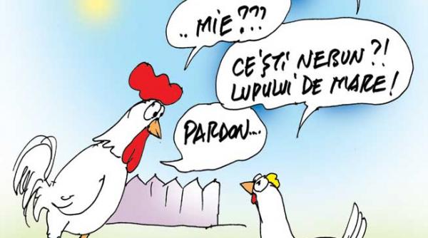 caricatura zilei 28 mai 2013