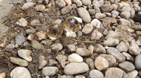 sunt reci transparente umede si se sparg foarte usor fenomen meteo misterios la lugoj