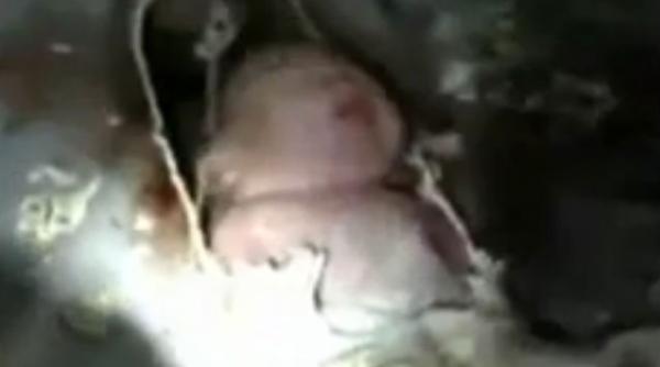 bebelus aruncat toaleta