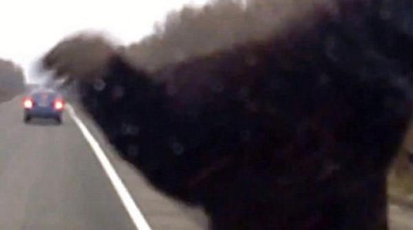 n ai sa ghicesti cu ce s a trezit pe capota masinii un sofer din rusia video