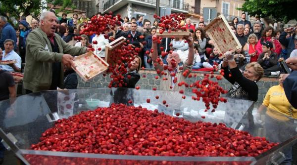 parfum de fragi si de capsuni
