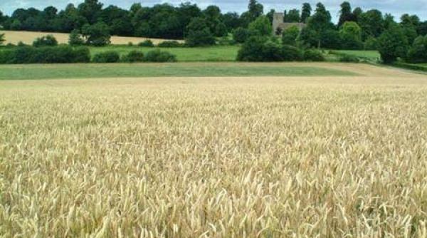 unpr cere prelungirea cu trei ani a interdictiei de vanzare a terenurilor agricole catre strainii nerezidenti