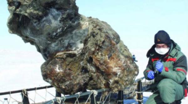 in pofida descoperirii de sange intr un exemplar de mamut excelent conservat clonarea este inca improbabila