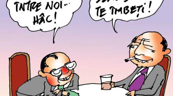 caricatura zilei 6 iunie 2013