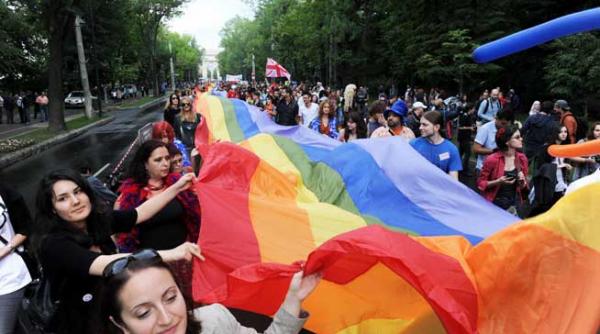 articolul 48 vasile il iei in casatorie pe costica continua disputele pentru definirea conceptului de familie