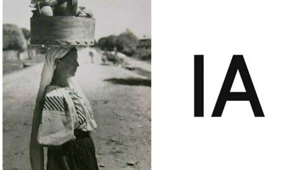 ia romaneasca prinde aripi