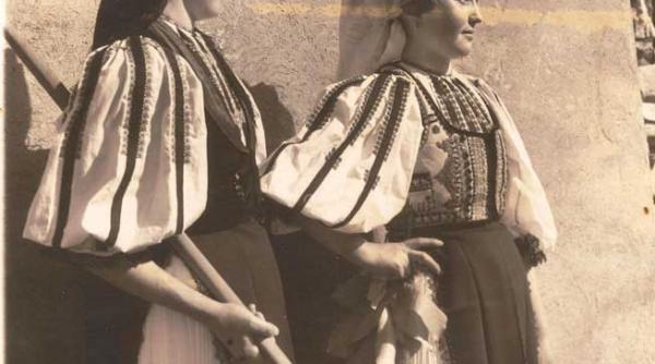 plante bune de leac plante bune de farmece