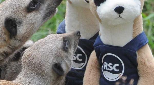 va fi mai simplu sa calatoriti in ue impreuna cu animalul de companie