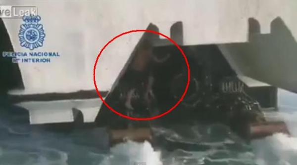 cata minte iti trebuie unde i a dat prin cap unui imigrant sa se ascunda video