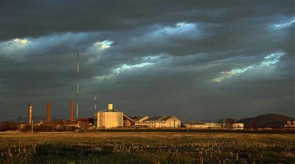 p cine falimenteaza industria zaharului din romania