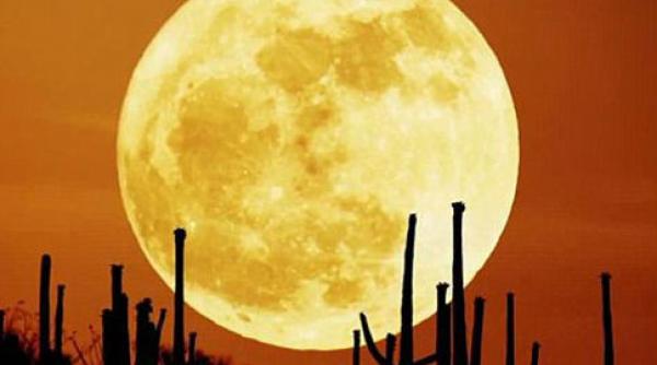 spectacol ceresc pe 23 iunie luna se va afla la cea mai mica distanta fata de terra in ultimele 14 luni