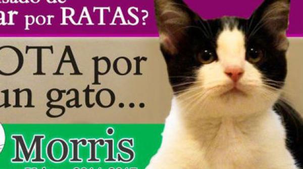 candidat surpriza la primaria unui oras din mexic vezi ce slogan de campanie are