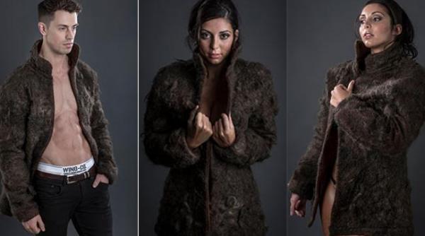 ti ai dori asa o haina costa o avere dar nu vrei sa stii din ce e facuta