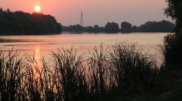 apa nova delta dunarii sturioni