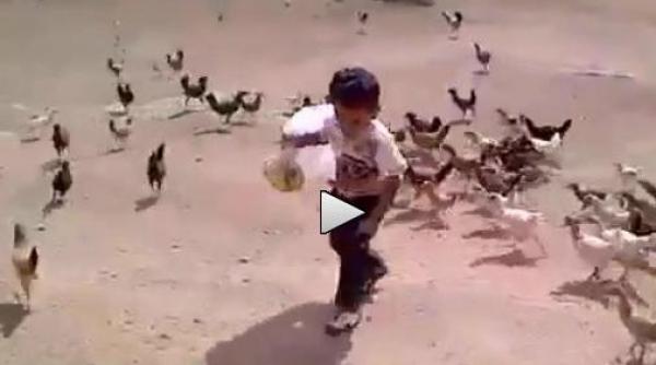 arunca punga copil ingrozit fugarit de gaini infometate video