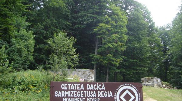 descoperire unica la sarmizegetusa regia ce s a gasit sub un fag dezradacinat in urma unei furtuni