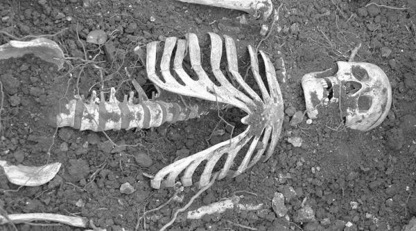 schelet turist piatra craiului