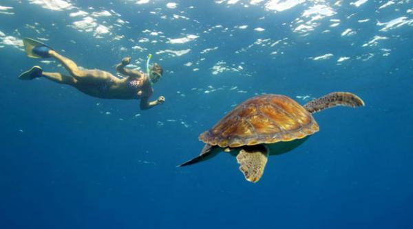 plajele secrete din tenerife