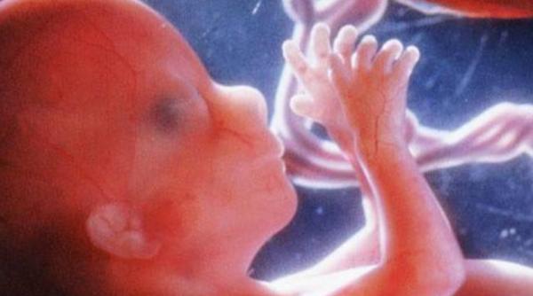 premiera lumea medicala fertilizare in vitro miracol