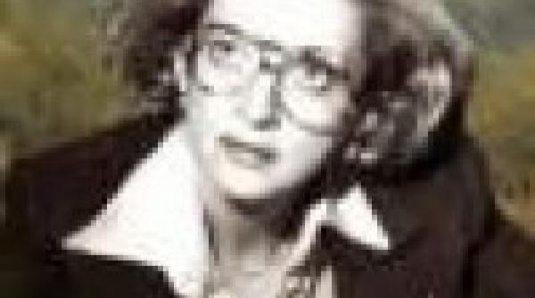 un jurnal scris din inima nu din pasta de pix