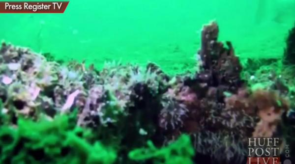 are o vechime de peste 50 000 de ani si este foarte bine conservata ce au descoperit scafandrii pe fundul oceanului atlantic video