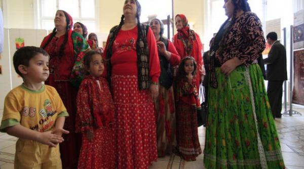 romani criss paraste guvernul ponta la onu ue si in sua