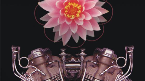 volum de cartea recorurilor a fost respins de 121 de edituri apoi s a vandut in 5 milioane exemplare