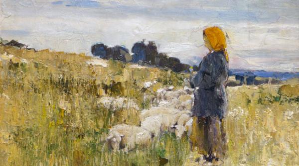 o expozitie delicata ca un buchet de anemone